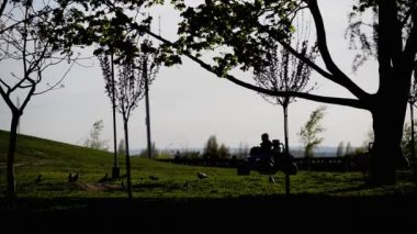 İnsanlar, çocuklu bir parkta yürüyüş siluetleri, orman park, günbatımı ağaçlar, açık havada, Sonbahar, yaz, arkasında bahar