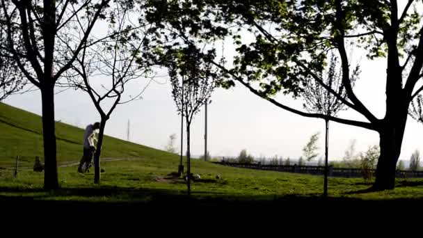 Personas caminando en un parque con niños, siluetas, parque forestal, puesta de sol detrás de los árboles, al aire libre, otoño, verano, primavera — Vídeo de stock
