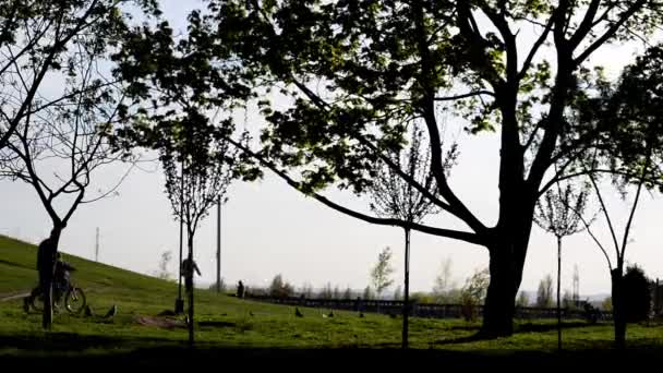 Menschen, die in einem Park mit Kindern spazieren, Silhouetten, Waldpark, Sonnenuntergang hinter Bäumen, im Freien, Herbst, Sommer, Frühling — Stockvideo