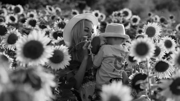 Bella madre sta gettando il suo piccolo figlio carino nel campo di girasole. Entrambi sono felici. Immagine con focus selettivo. Bianco e nero — Video Stock