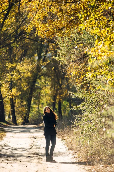 女の子は美しい秋の公園で歩く — ストック写真
