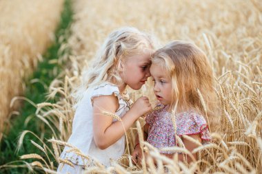 İki güzel kız kardeş bir buğday alanı