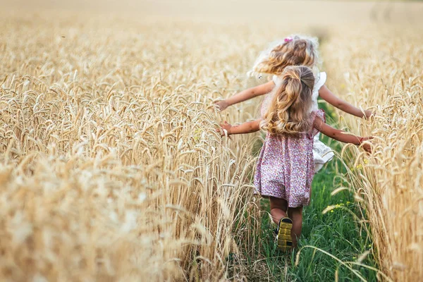 Känslomässiga systrar kör på fältet vete i solnedgången, begreppet frihet och barndom, livsstil, pastellfärger — Stockfoto