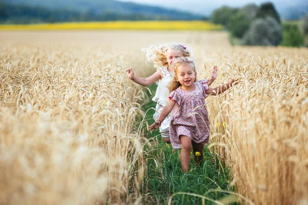 Känslomässiga systrar kör på fältet vete i solnedgången, begreppet frihet och barndom, livsstil, pastellfärger — Stockfoto