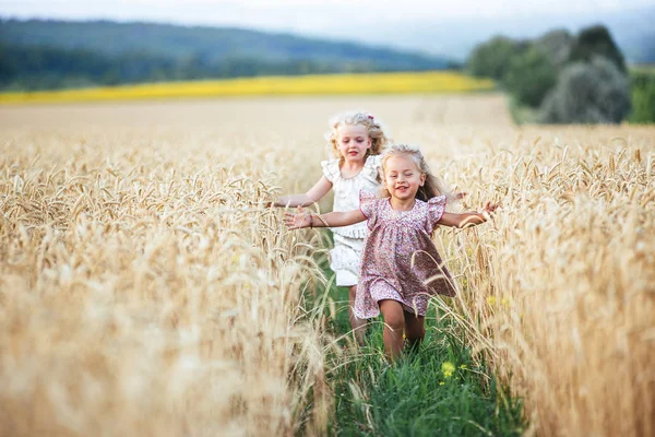 Känslomässiga systrar kör på fältet vete i solnedgången, begreppet frihet och barndom, livsstil, pastellfärger — Stockfoto