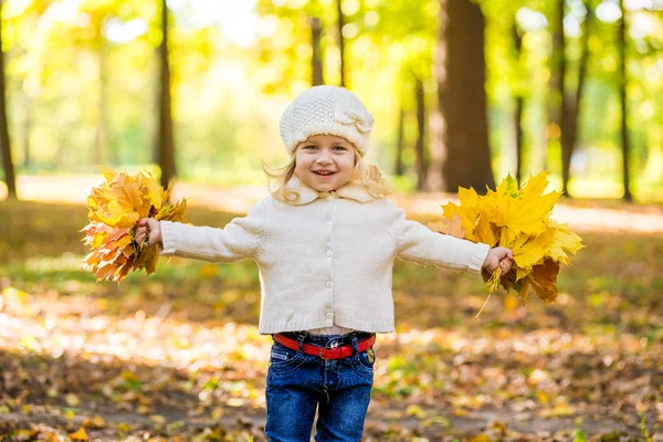 Niña alegre en el parque en otoño con hojas en las manos — Foto de Stock