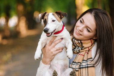 güzel kız bir köpekle oynamayı. Köpekle park üzerinde oynamak. Yakın çekim portre. Jack Russell Terrier