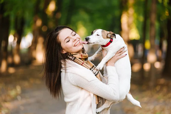 güzel kız bir köpekle oynamayı. Köpekle park üzerinde oynamak. Yakın çekim portre. Jack Russell Terrier