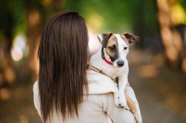 güzel kız bir köpekle oynamayı. Köpekle park üzerinde oynamak. Yakın çekim portre. Jack Russell Terrier