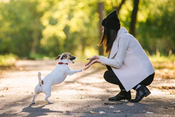 Güzel kız bir köpekle oynamayı. Köpekle park üzerinde oynamak. Yakın çekim portre. Jack Russell Terrier — Stok fotoğraf