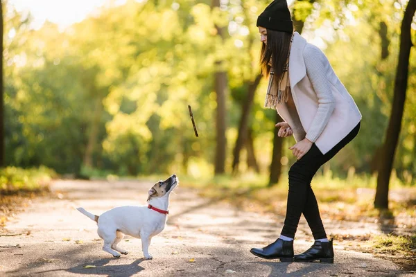 Güzel kız bir köpekle oynamayı. Köpekle park üzerinde oynamak. Yakın çekim portre. Jack Russell Terrier — Stok fotoğraf