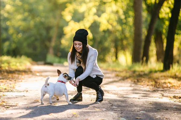 Güzel kız bir köpekle oynamayı. Köpekle park üzerinde oynamak. Yakın çekim portre. Jack Russell Terrier — Stok fotoğraf