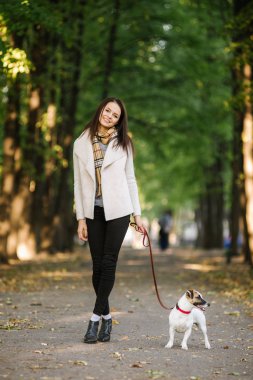 güzel bir kız ile bir köpek yürüyor. Köpekle oynamayı bulunan Parkı.