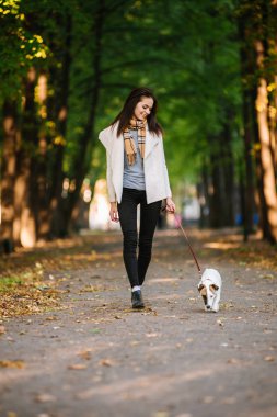 güzel bir kız ile bir köpek yürüyor. Köpekle oynamayı bulunan Parkı.