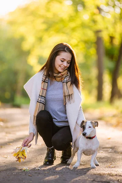 güzel bir kız ile bir köpek yürüyor. Köpekle oynamayı bulunan Parkı.