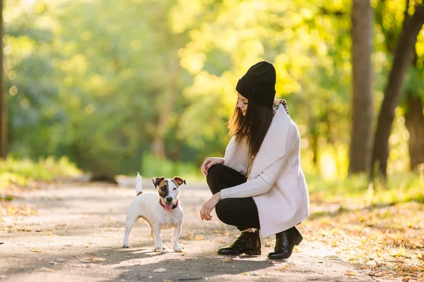 Güzel bir kız ile bir köpek yürüyor. Köpekle oynamayı bulunan Parkı. — Stok fotoğraf
