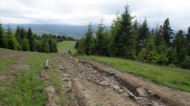 Genç kadın uzun yürüyüşe çıkan kimse yokuş yukarı gidiyor. Hiking. Karpat Dağları trekking. Gezgin dağın tepesinde dik yola çıkmaktadır..