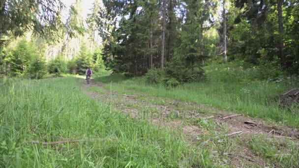 Man een mountainbike in het bos rijden. Bergen van de Karpaten-Oekraïne — Stockvideo