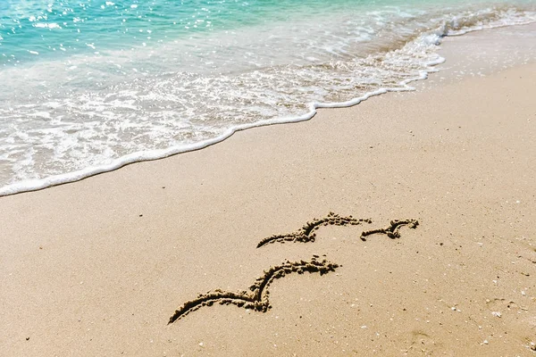 Family symbol - three seagulls drawing on the sand on the golden sunny sandy beach in the resort on summer vacation rest. Background with soft waves. — Stock Photo, Image