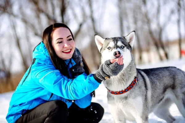 Chica con un perro en invierno Husky —  Fotos de Stock