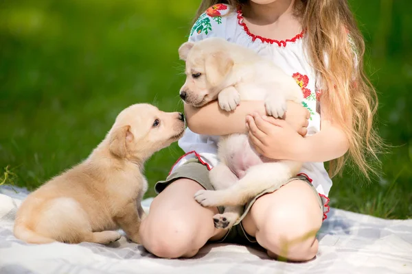 Niña con un cachorro Golden retriever —  Fotos de Stock