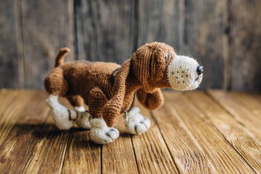 Örgü köpek Basset Hound ahşap arka plan üzerinde izole.