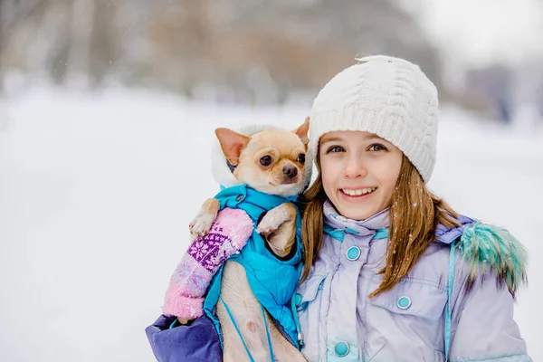 Zimowe portret dziewczynki z mały pies rasy Chihuahua. — Zdjęcie stockowe