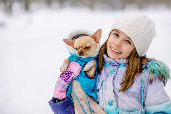 Zimowe portret dziewczynki z mały pies rasy Chihuahua. — Zdjęcie stockowe