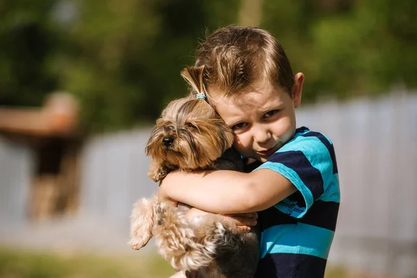 Портрет хлопчик з Йоркширський тер'єр собаку на прогулянку. Діти ПЕТ дружби — стокове фото