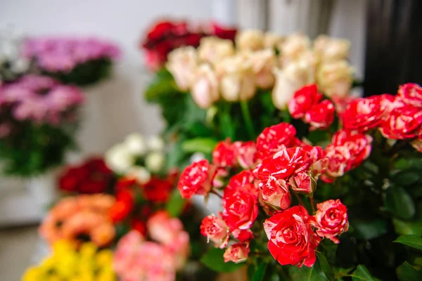Свіжі вирізані квіти та композиції у квітковому магазині, відстежити постріл — стокове фото