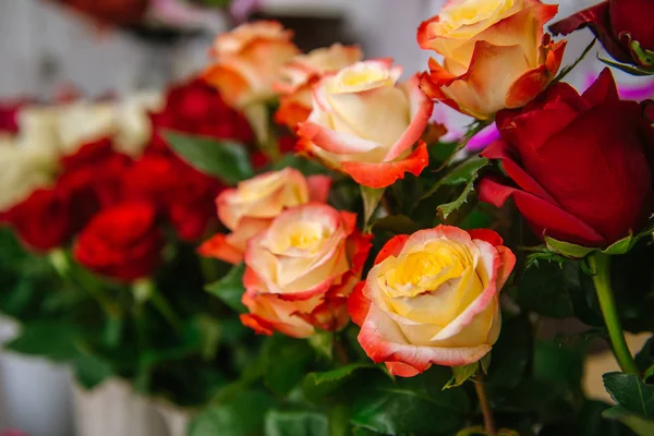 Свіжі вирізані квіти та композиції у квітковому магазині, відстежити постріл — стокове фото