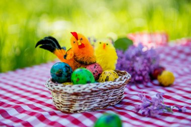 Bıldırcın yumurta tavuk bir arka planda yeşil çimen ile boyalı