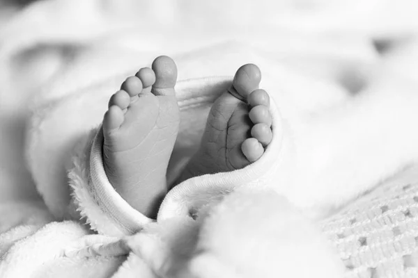 Γυμνά πόδια από ένα χαριτωμένο νεογέννητο μωρό σε θερμό λευκό κάλυμμα. Μικρά γυμνά πόδια από ένα μικρό κοριτσάκι ή αγόρι. Στον ύπνο το νεογέννητο παιδί. — Φωτογραφία Αρχείου