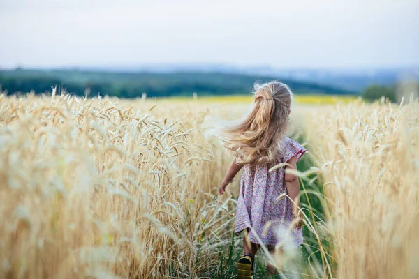 Menina correndo feliz em um campo de trigo à luz do sol — Fotografia de Stock