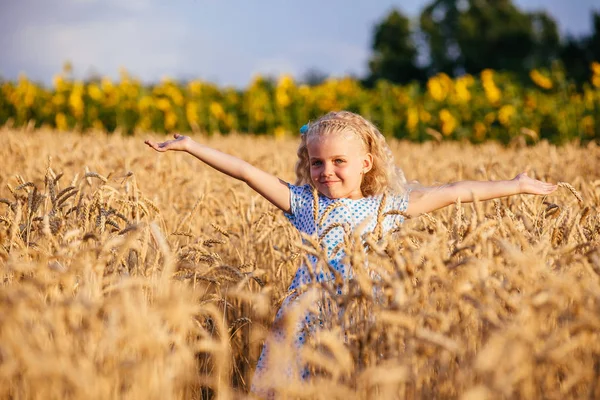 Schattig klein meisje spelen op het gebied van de zomer van tarwe — Stockfoto