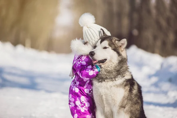 Dziewczynka z piękny duży pies w lesie w zimie — Zdjęcie stockowe