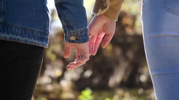 Gay, lgbt a homosexualita koncept - zblízka šťastný lesbický pár držící se za ruce na travnatém pozadí - Stock Image — Stock video