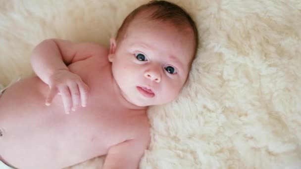 Portrait of a cute newborn baby boy. The baby lies on his back with big eyes open. Beautiful happy family. Family at home. Newborn boy — Stock Video