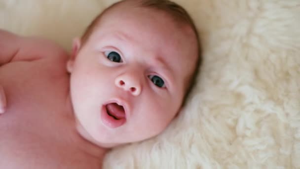 Portrait of a cute newborn baby boy. The baby lies on his back with big eyes open. Beautiful happy family. Family at home. Newborn boy — Stock Video