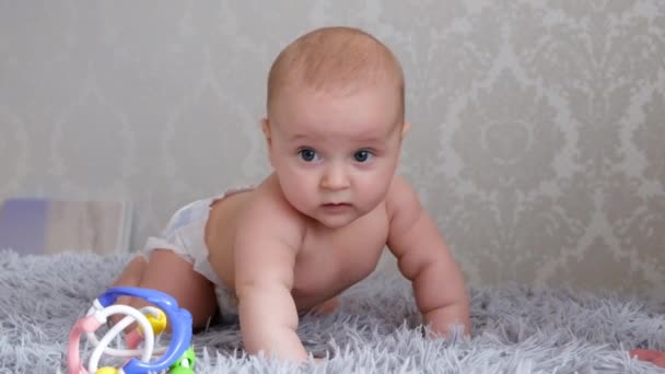 Adorable grimacing funny baby in a diaper on all fours, standing on a plaid, looks at a gray background. — Stock Video