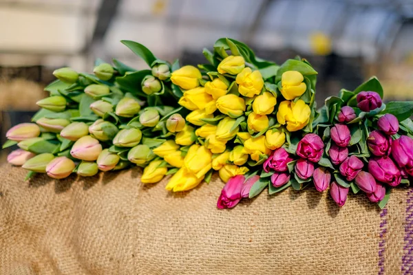 Muchos Ramos Tulipanes Puestos Mercado Flores Frescas Cortadas Venta — Foto de Stock