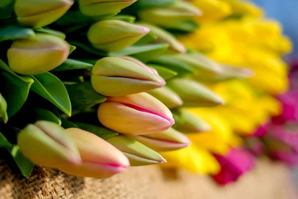 Багато Букетів Тюльпанів Магазинах Свіжі Зрізані Квіти Продаж — стокове фото