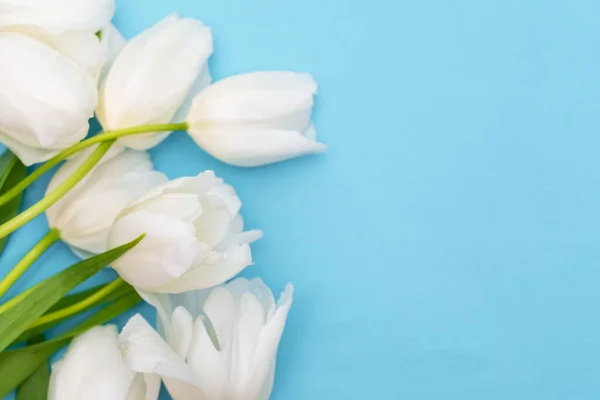 Ramo de tulipanes blancos sobre fondo azul. Hermoso ramo de siete tulipanes blancos, espacio para copiar. El concepto de día de la mujer, día de la madre, cumpleaños, día de San Valentín. Fondo de primavera con tulipanes —  Fotos de Stock
