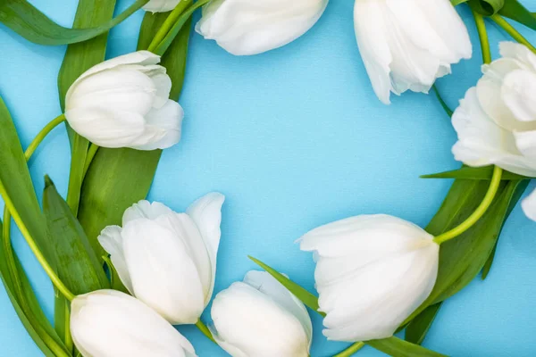 Ramo de tulipanes blancos sobre fondo azul. Hermoso ramo de siete tulipanes blancos, espacio para copiar. El concepto de día de la mujer, día de la madre, cumpleaños, día de San Valentín. Fondo de primavera con tulipanes —  Fotos de Stock