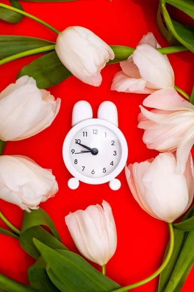 Reloj despertador blanco y delicados tulipanes blancos sobre fondo rojo. Vista desde arriba. Un tiempo de amor y felicitaciones . —  Fotos de Stock