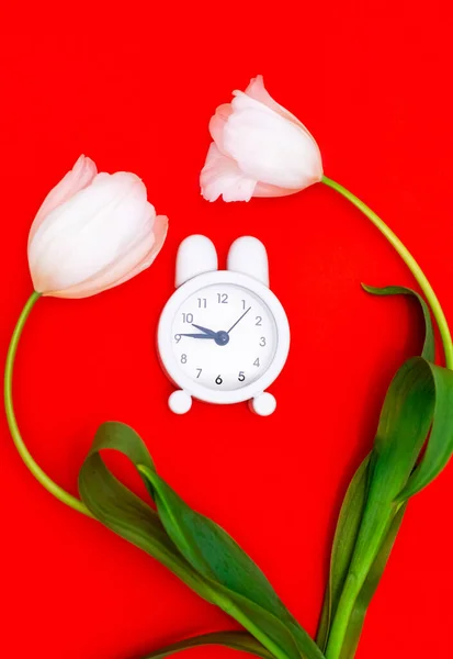 Reloj despertador blanco y delicados tulipanes blancos sobre fondo rojo. Vista desde arriba. Un tiempo de amor y felicitaciones . —  Fotos de Stock