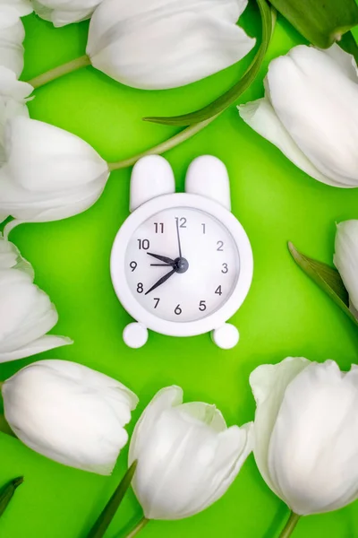 Reloj despertador blanco y delicados tulipanes blancos sobre un fondo verde. Vista desde arriba. Un tiempo de amor y felicitaciones . —  Fotos de Stock