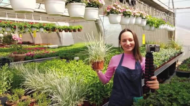 Люди і ботаніка концепція. Популярна жінка-блогер досвідчена садівниця записує відео про садівництво для свого відеоблогу, що стоїть в теплиці і тримає квіти горщиків . — стокове відео