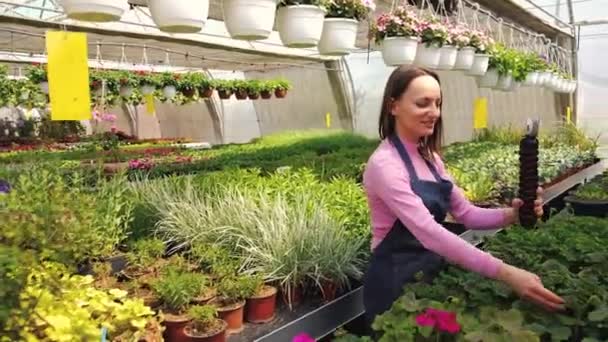 Pessoas e conceito de botânica. Blogueiro feminino popular experiente jardineiro está gravando vídeo sobre jardinagem para seu vlog em pé em estufa e segurando flores de panela . — Vídeo de Stock