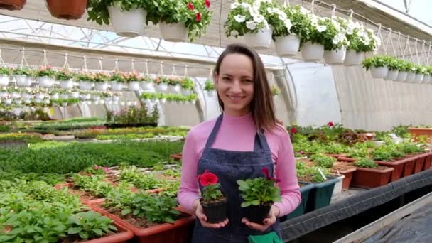 Ritratto di una donna attraente che sorride giardiniere in una serra e tiene in mano una pianta in vaso. Giardinaggio, persone e concetto di coltivazione dei fiori. — Video Stock
